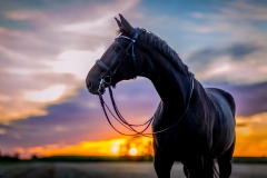 1_JH5D3297-Edit