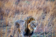 JH5D0271-Edit